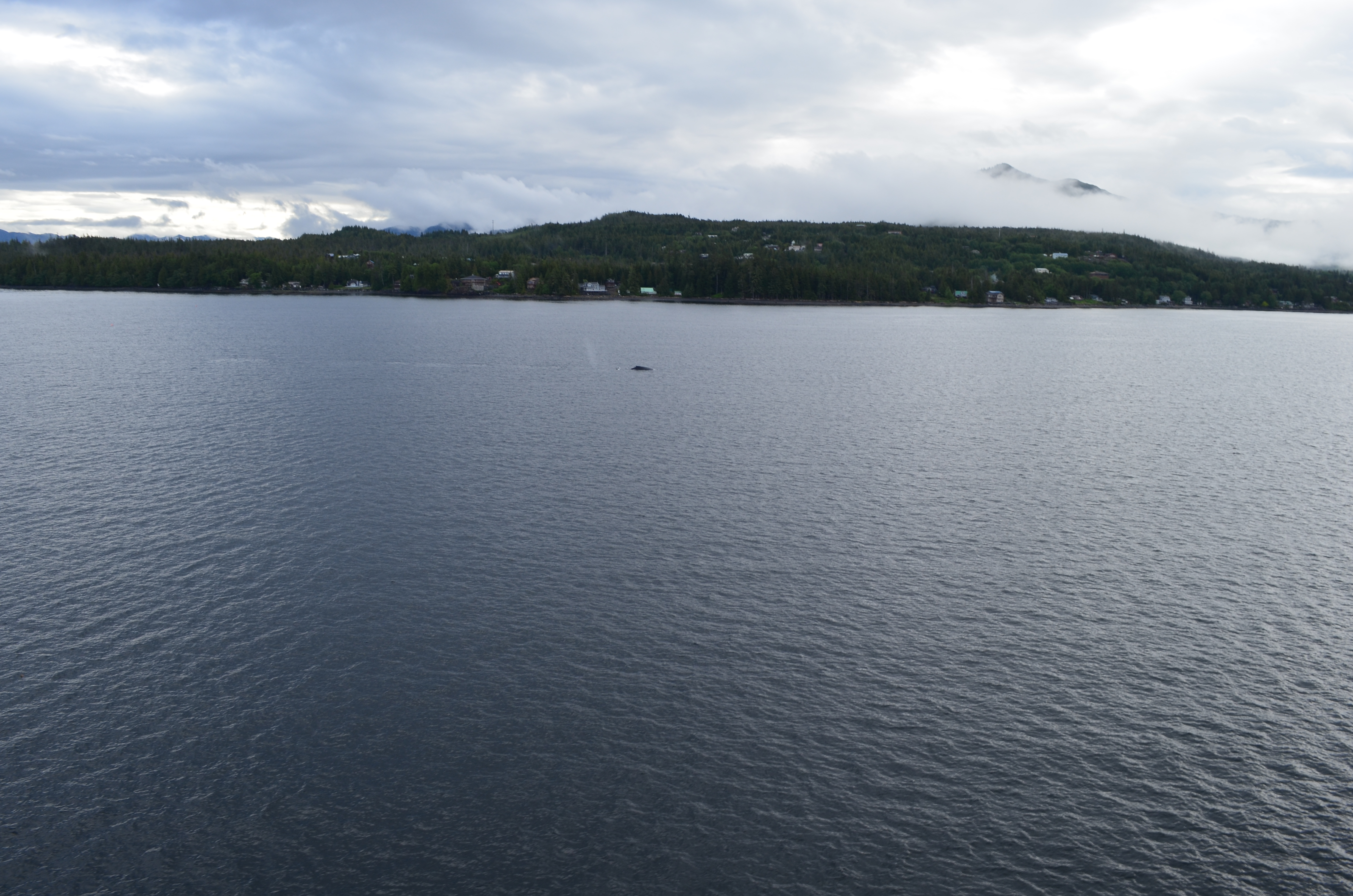 ./2017/08 - Alaska Cruise/11 - Ketchikan/DSC_0387.JPG